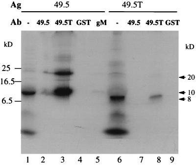 FIG. 6