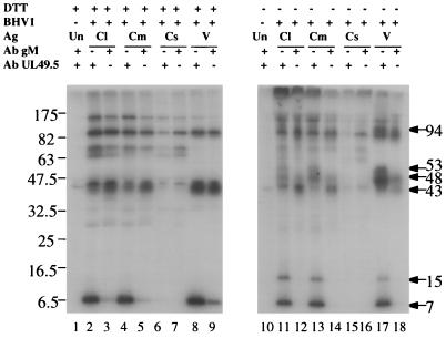 FIG. 7