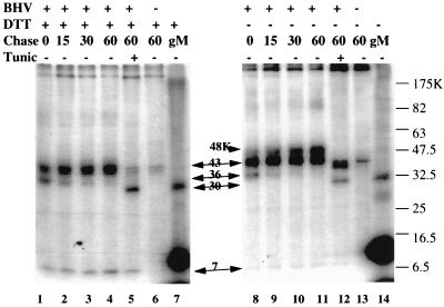 FIG. 5