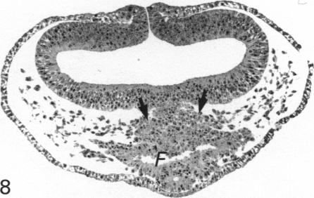 Fig. 8