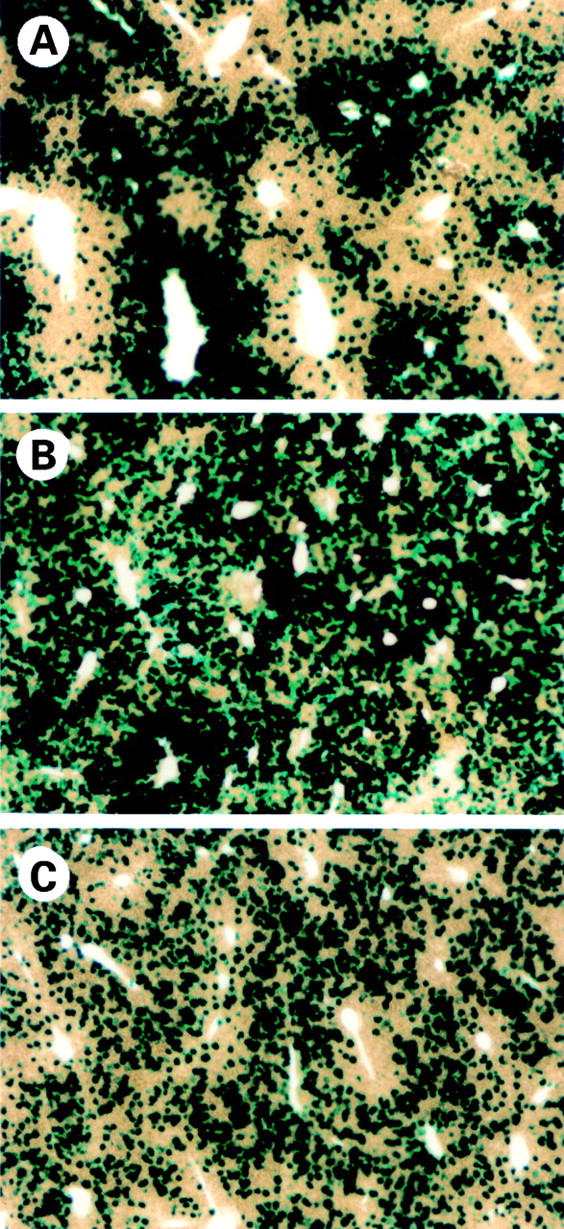 Figure 2  