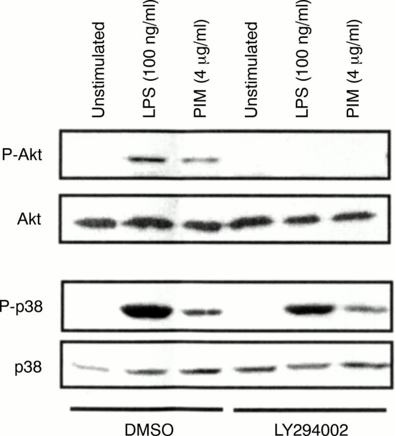 Figure 3  