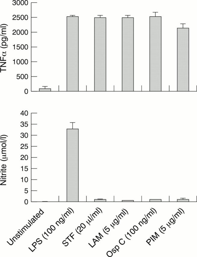 Figure 2  