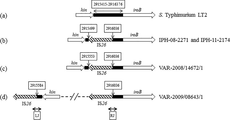 FIG 2