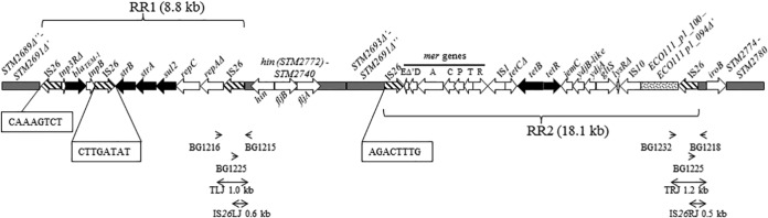 FIG 1