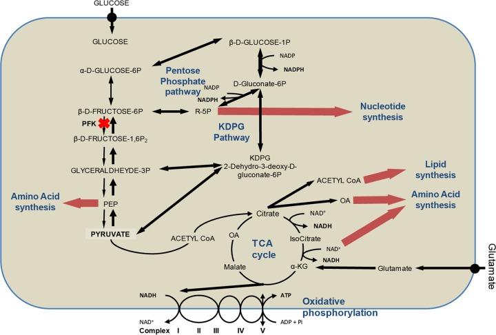 FIG 5 