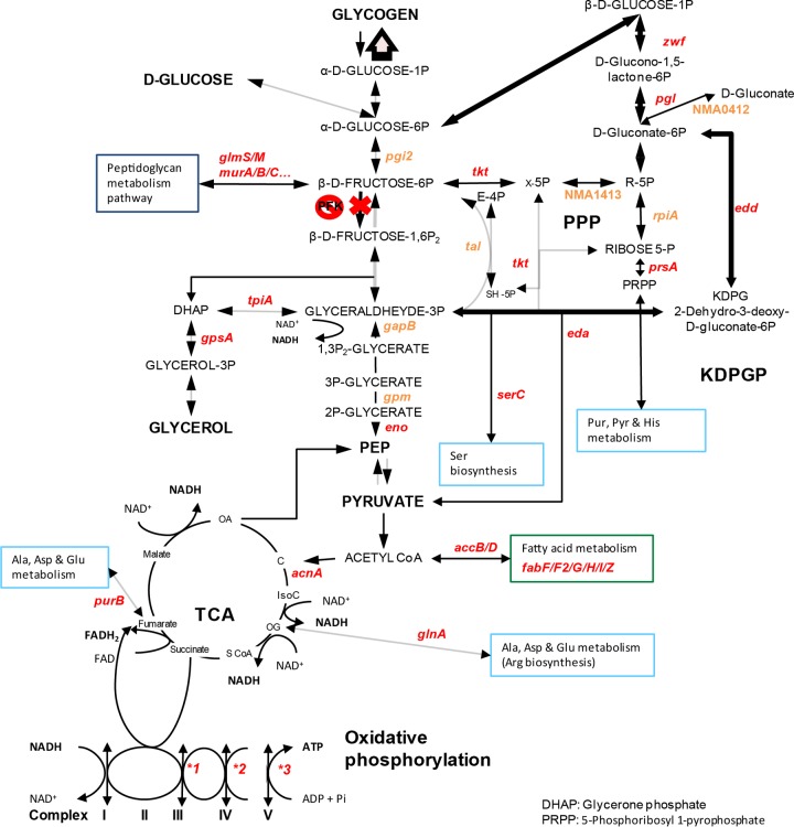 FIG 3 