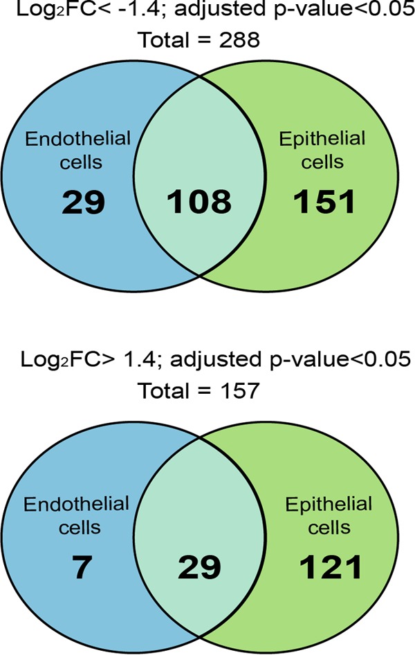 FIG 4 