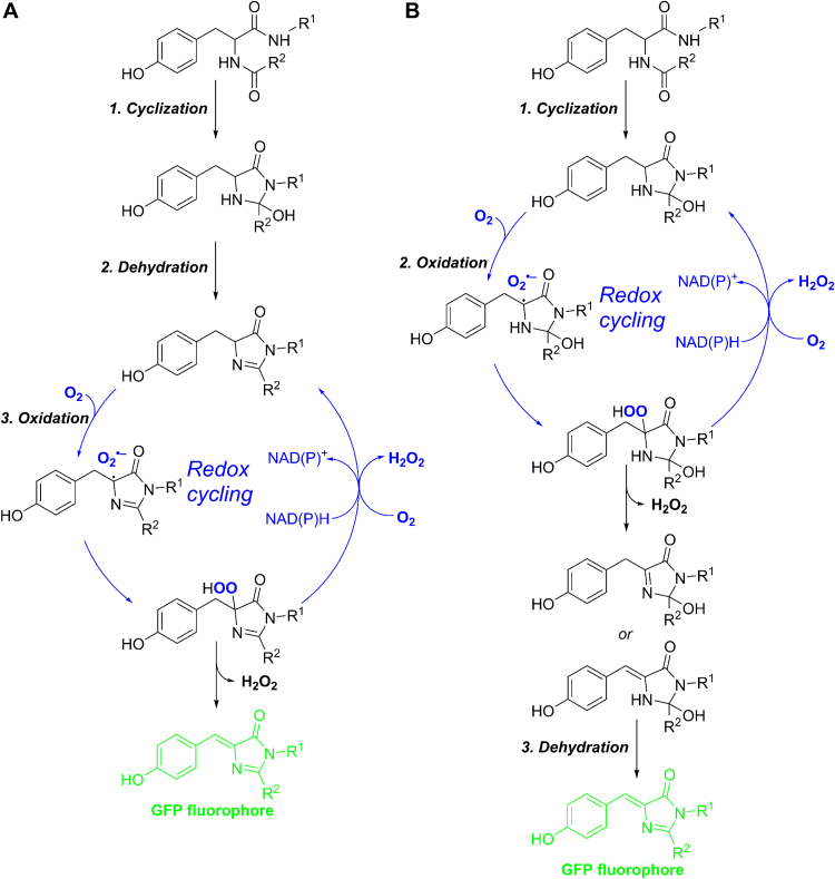 Scheme 1