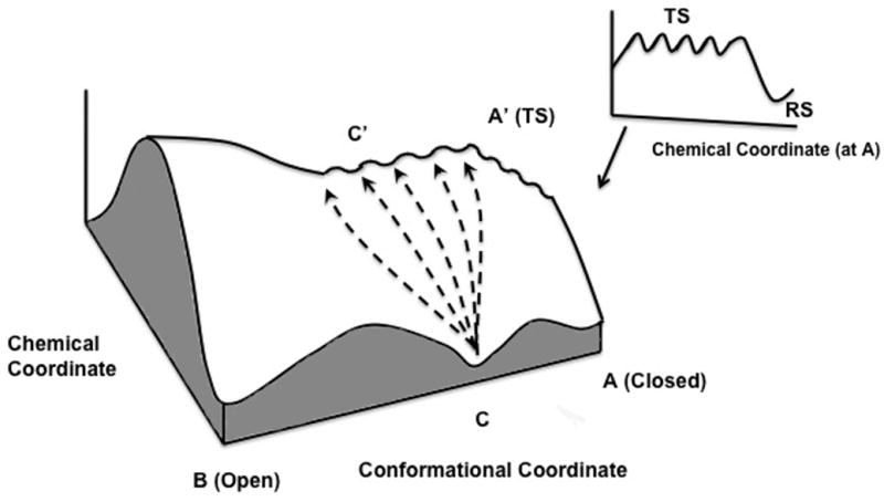 Fig. 10