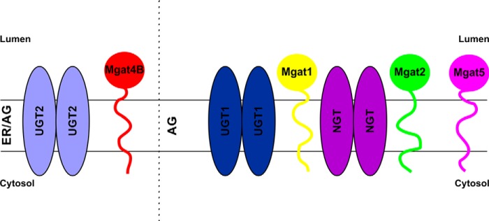 FIGURE 6.