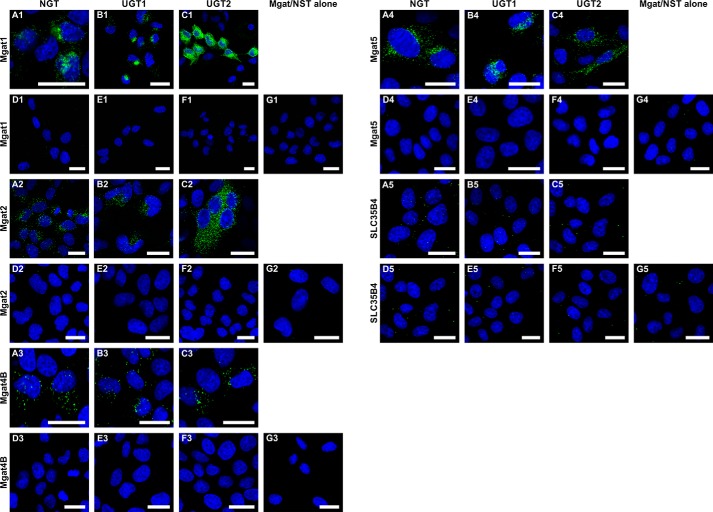 FIGURE 3.