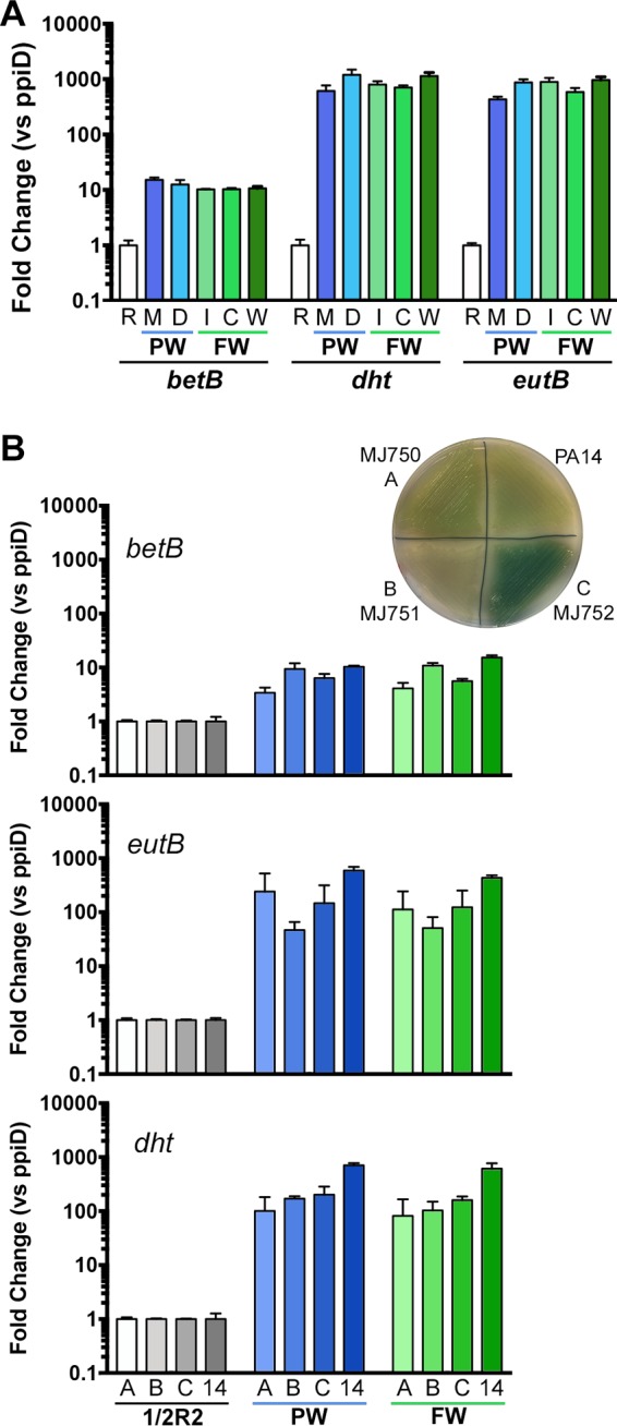 FIG 3