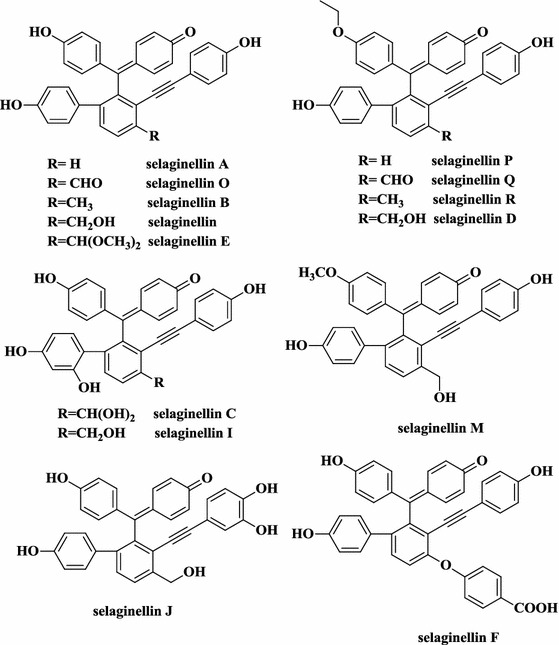 Fig. 14