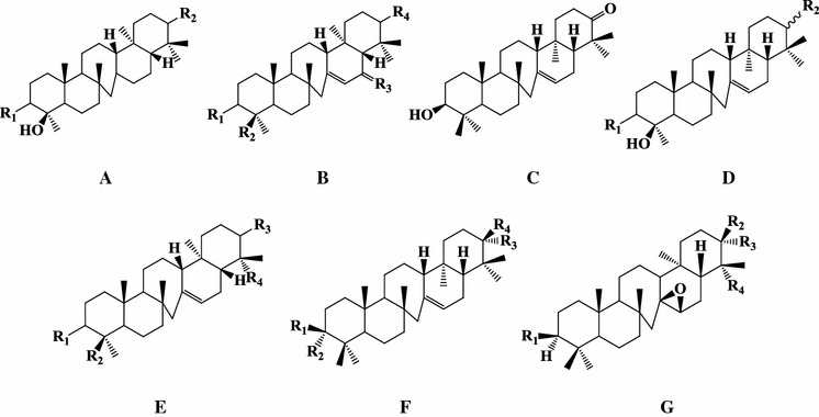 Fig. 4