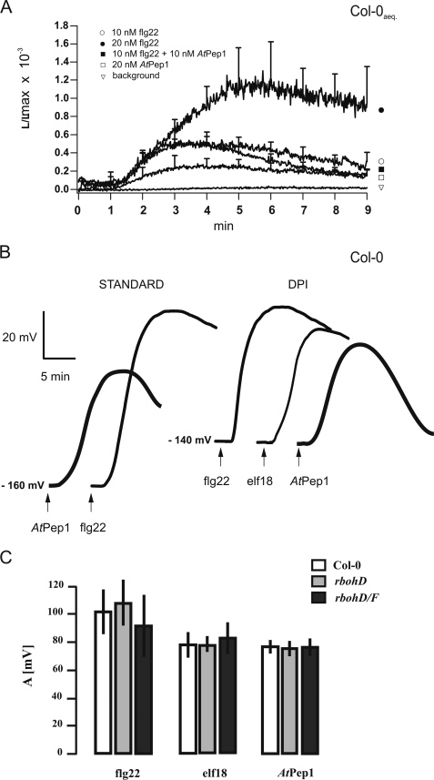 FIGURE 4.