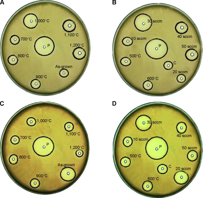 Figure 9