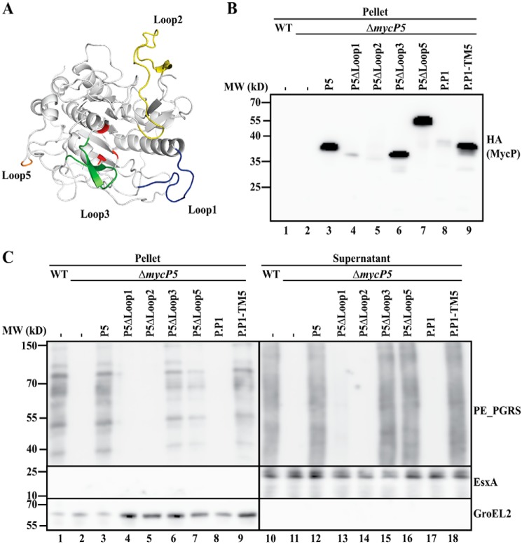 Figure 3.