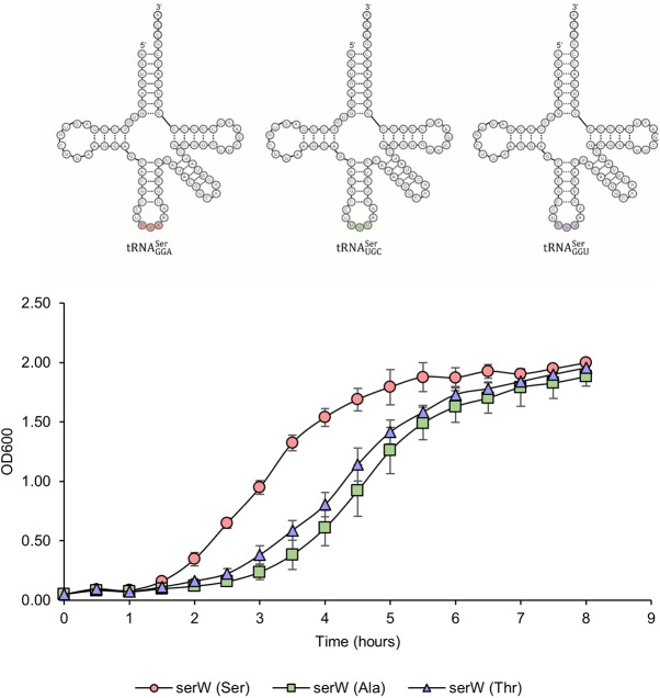 FIG 1