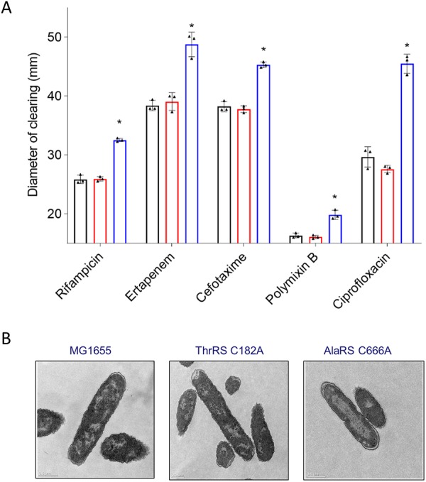 FIG 6