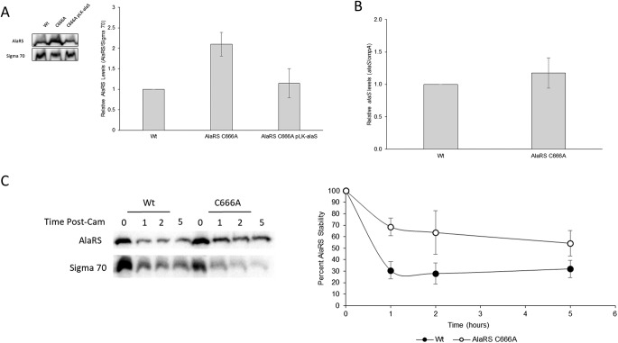 FIG 4