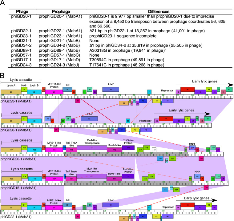 FIG 6