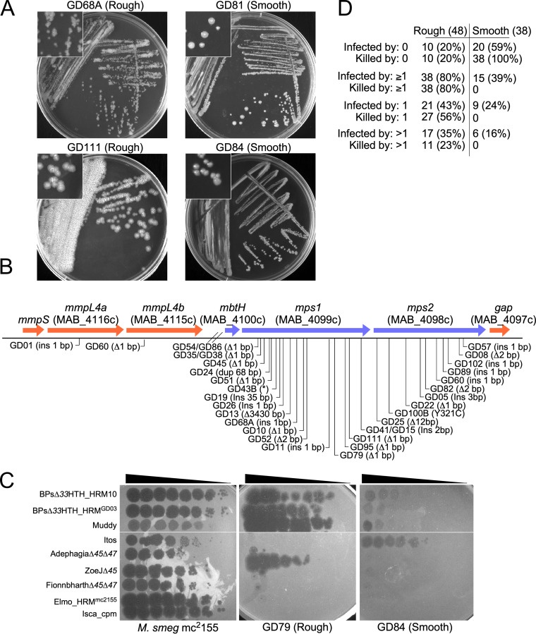 FIG 2