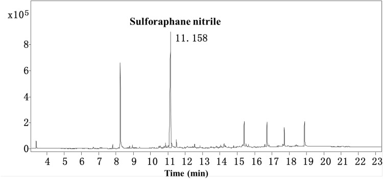 Fig. 2