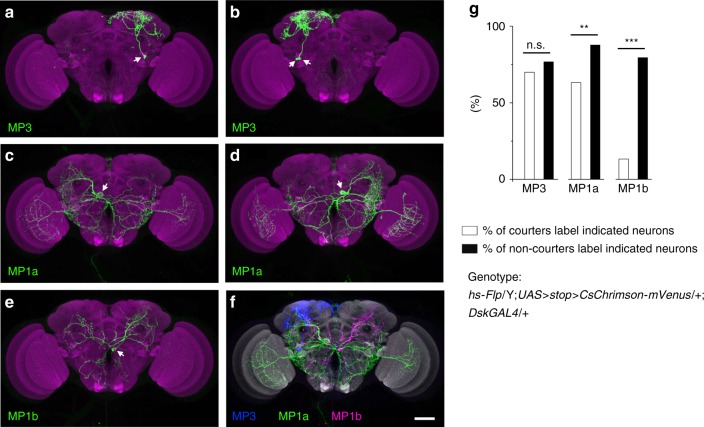 Fig. 3