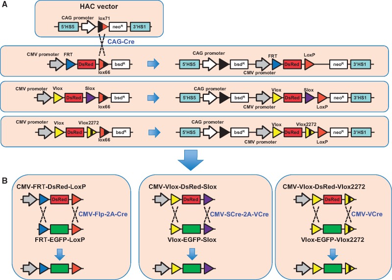 Figure 1: