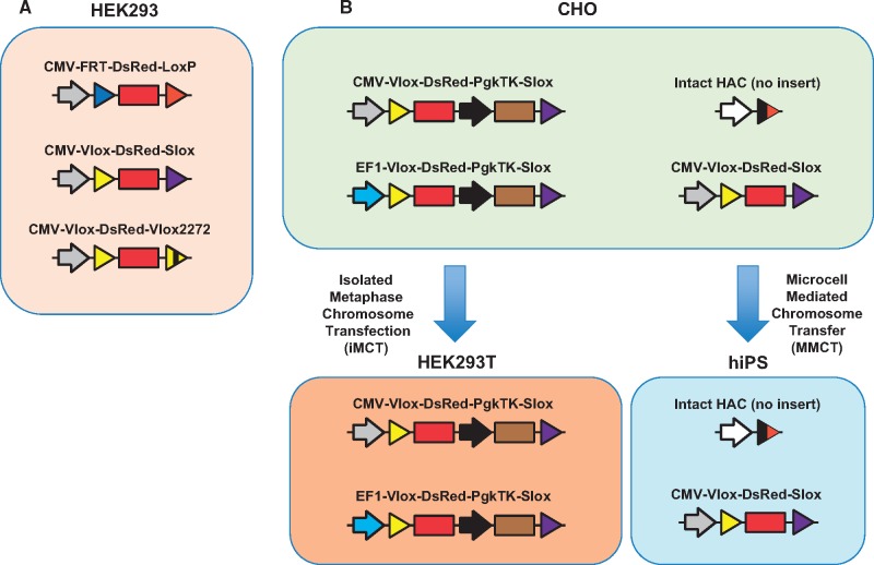 Figure 2: