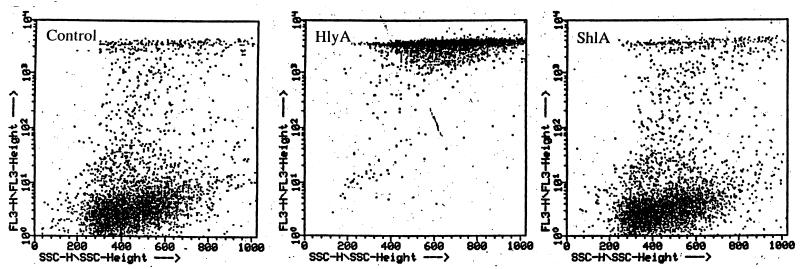 FIG. 5