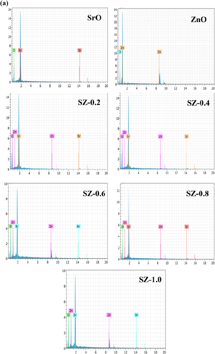 Fig. 10