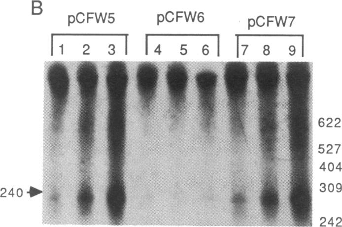 graphic file with name pnas00339-0141-a.jpg