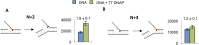 Figure 5—figure supplement 2.