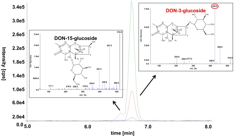 Figure 7