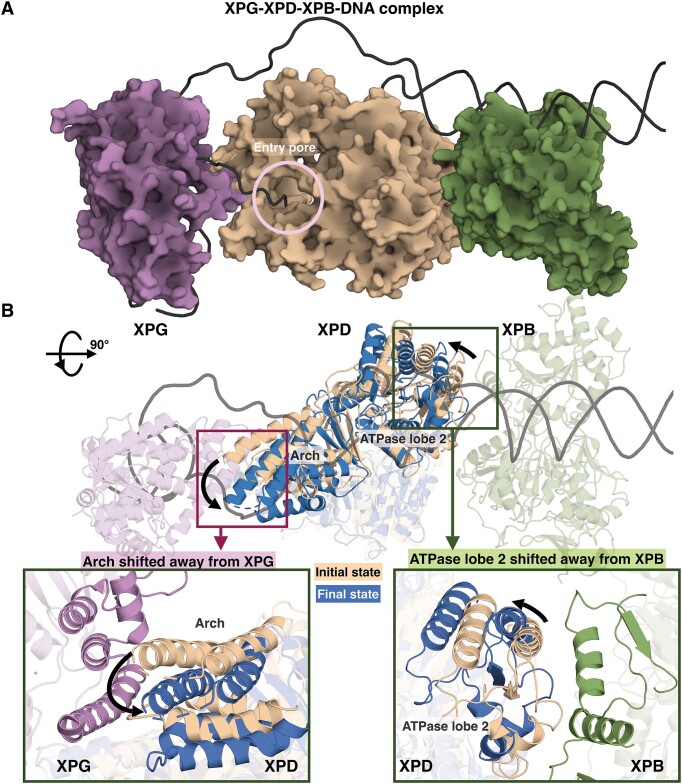 Figure 5.