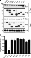 Fig 7