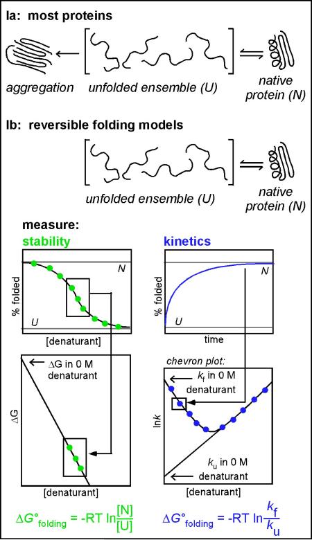 Box 1. The standard set of experiments used to characterize protein folding in vitro