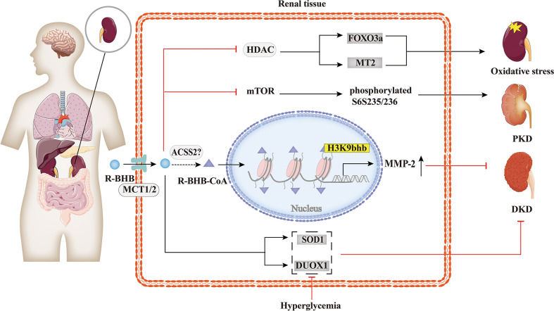 Figure 5