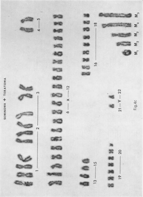 Fig. 4c