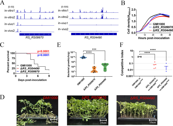 FIG 3