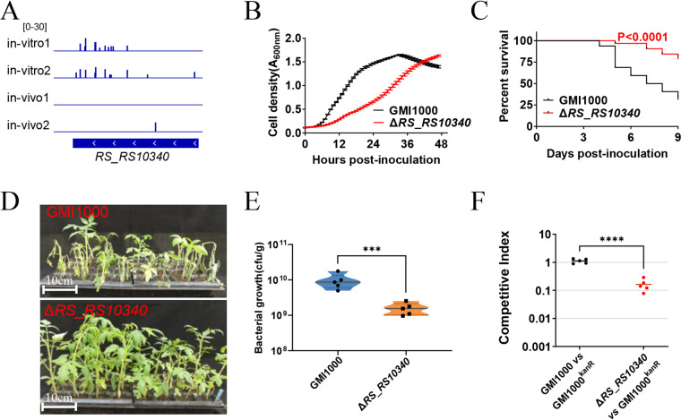 FIG 4