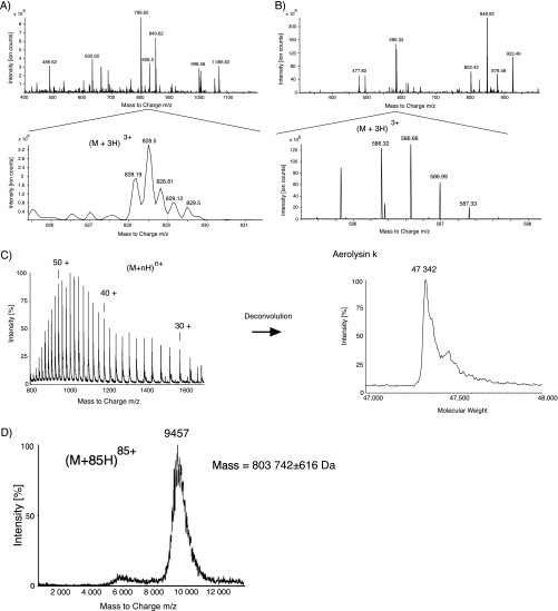 Fig. 3.