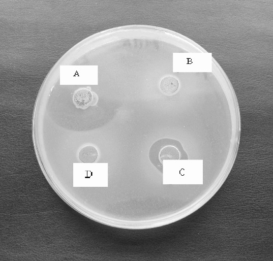 Figure 5. 