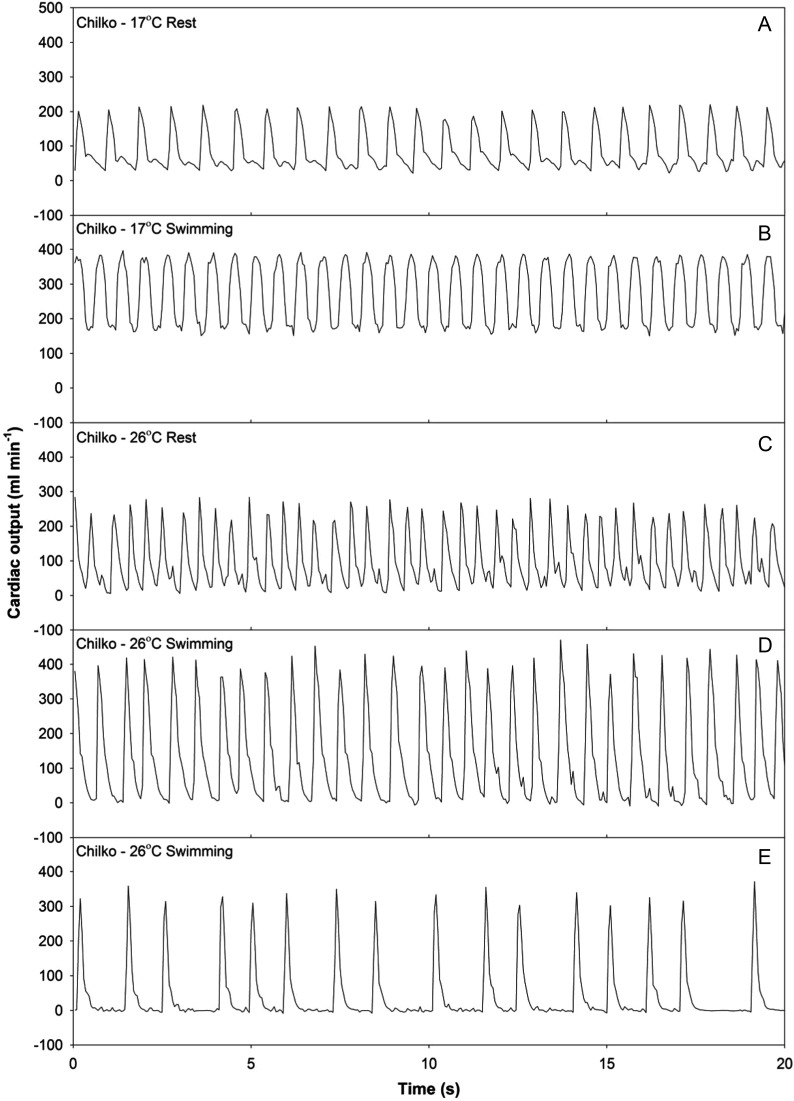 Figure 4: