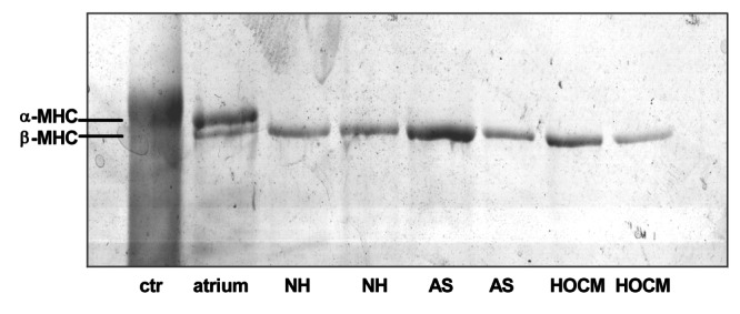 Figure 3)