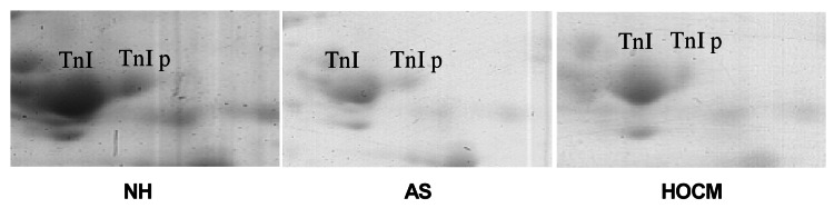 Figure 4)