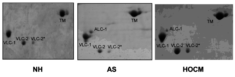 Figure 2)