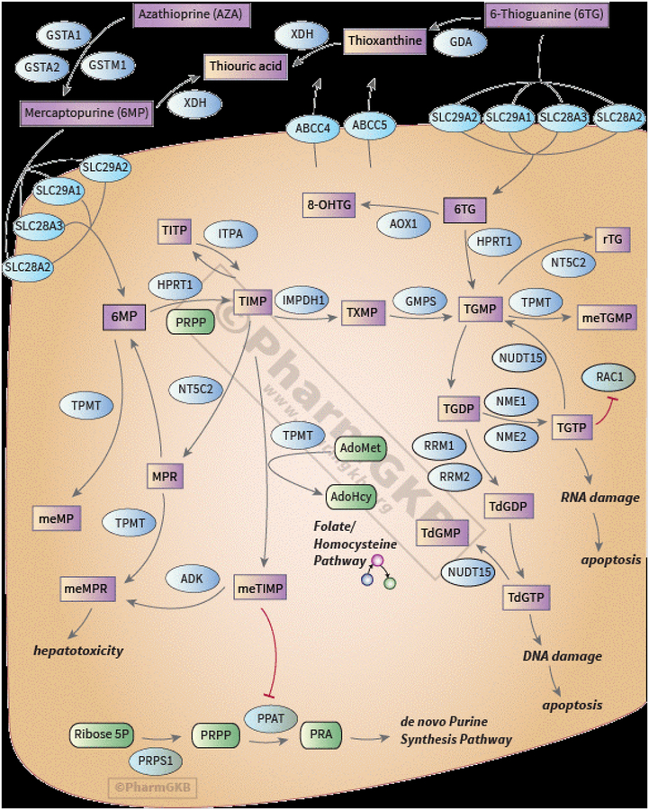 Figure 1: